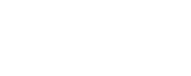 Wigxel logo